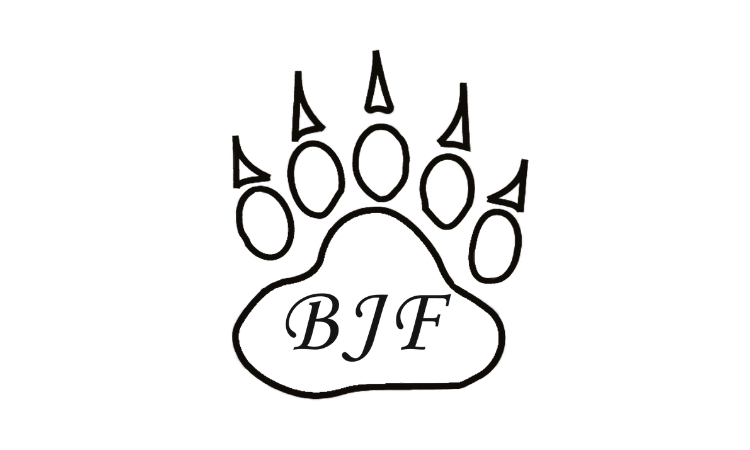 BearFoot Fx – LEP INTERNATIONAL