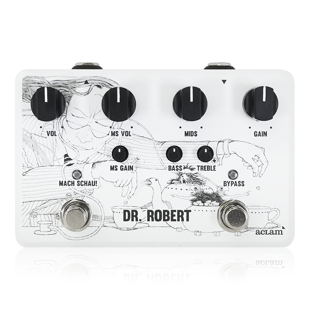 Aclam Guitars - Dr. Robert V3 – LEP INTERNATIONAL