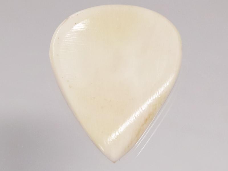 Animals Pedal - Wild Picks (CB-JP-DD-WH) Cow Bone Jazz Pick Double Dent White