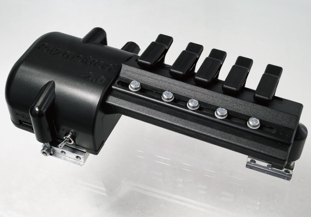 Gizmotron - Bass Gizmotron 2.0