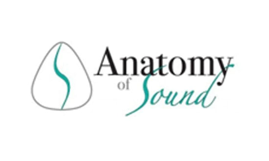 Anatomy of Sound