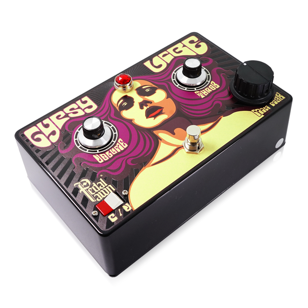 Pedal Pawn / GYPSY VIBE V2