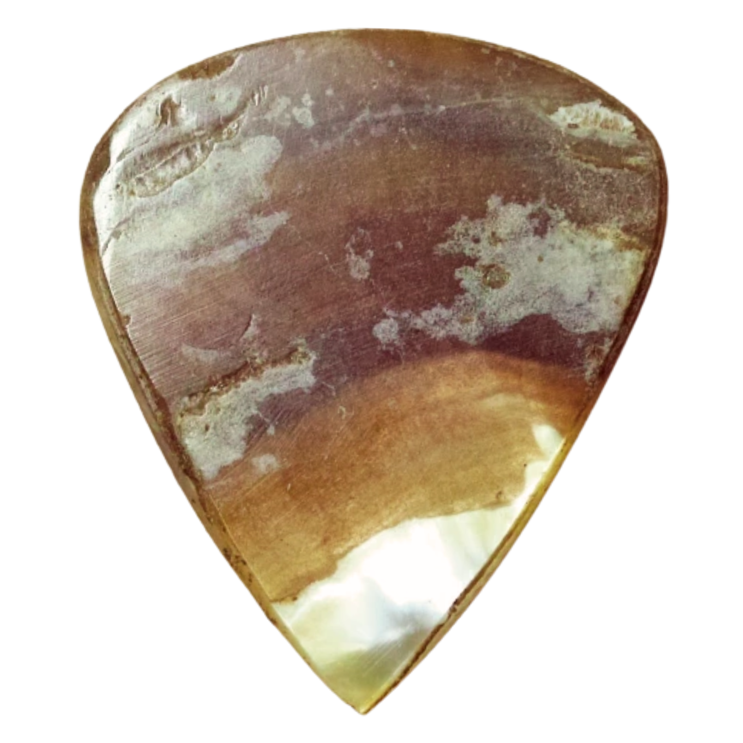 Animals Pedal - Wild Picks (MOP-TD-N-WH) Mother of Pearl Tear Drop White 2.0～3.0mm