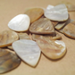 Animals Pedal - Wild Picks (MOP-TD-N-WH) Mother of Pearl Tear Drop White 2.0～3.0mm