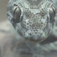 Gecko Pedals / O-Face