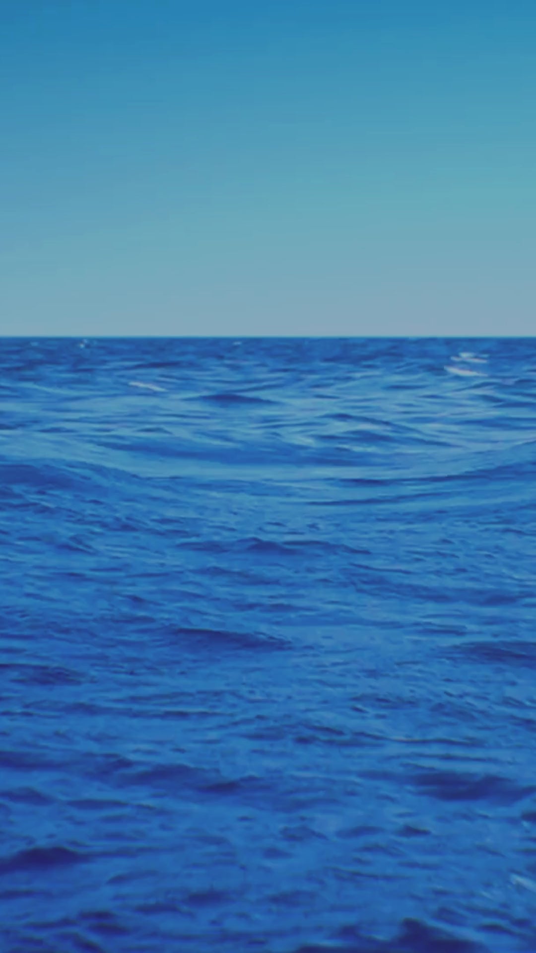 One Control - Blue Bee OD 4K Mini – LEP INTERNATIONAL