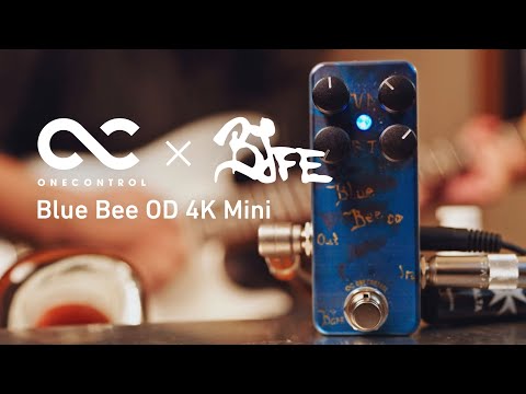 One Control - Blue Bee OD 4K Mini – LEP INTERNATIONAL