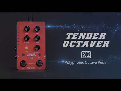 Mooer / TENDER OCTAVER X2 – LEP INTERNATIONAL