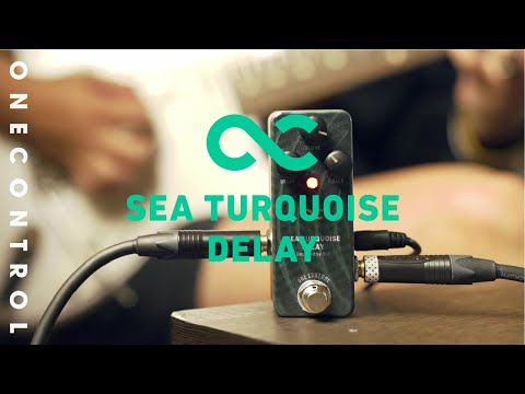 One Control - SEA TURQUOISE DELAY – LEP INTERNATIONAL