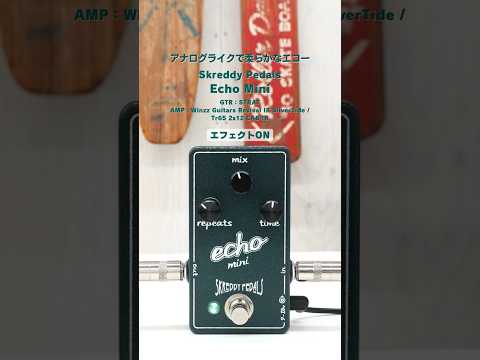 Skreddy Pedals - Echo Mini – LEP INTERNATIONAL