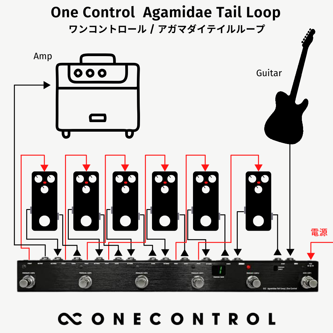 One Control / Agamidae Tail Loop