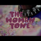 Aclam Guitars / The Woman Tone