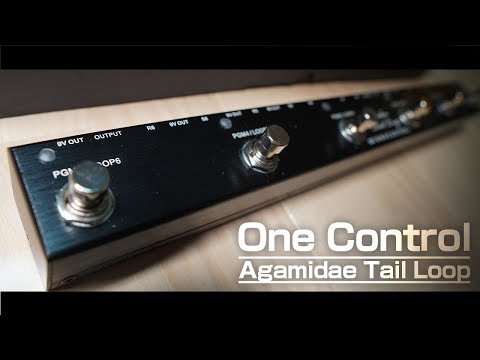 One Control / Agamidae Tail Loop – LEP INTERNATIONAL