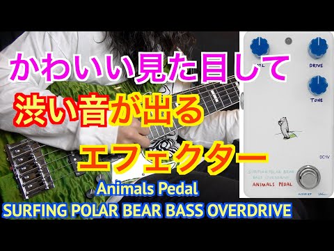 Animals Pedal/SURFING POLAR BEAR BASS OVERDRIVE MOD BY BJF – LEP