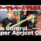 One Control/SUPER APRICOT OD